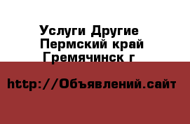 Услуги Другие. Пермский край,Гремячинск г.